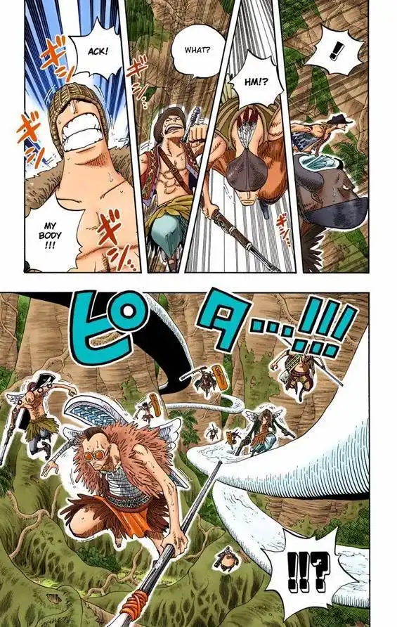 One Piece - Digital Colored Comics Chapter 256 15